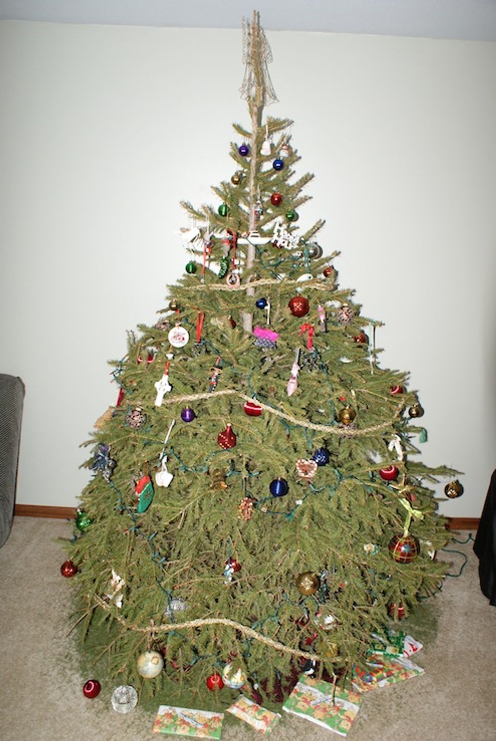 Michelle Obama Bogarting All The Christmas Trees