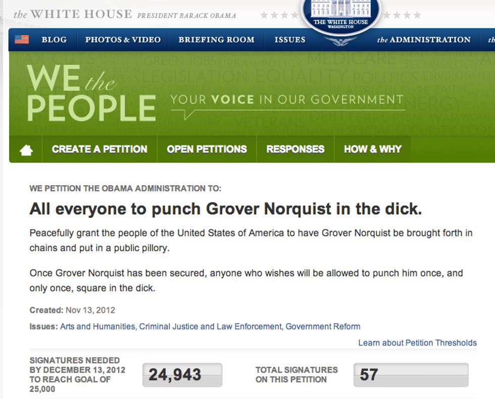 Petition To Punch Grover Norquist In Dick Removed From White House Petition Site