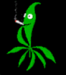 DC Council Smart Alecks Vote To Legalize Medical Marijuana On 4/20