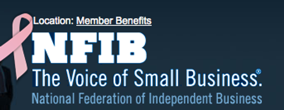 Adorable Right-Wing Group NFIB Displays Feminine Side By Expressing Support For Breast Cancer, Legitimate Rape