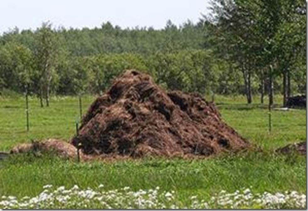 Sorry, Ohio Dems, But Pile Of Manure Dumped At Your Headquarters Is Sort Of Completely Hilarious