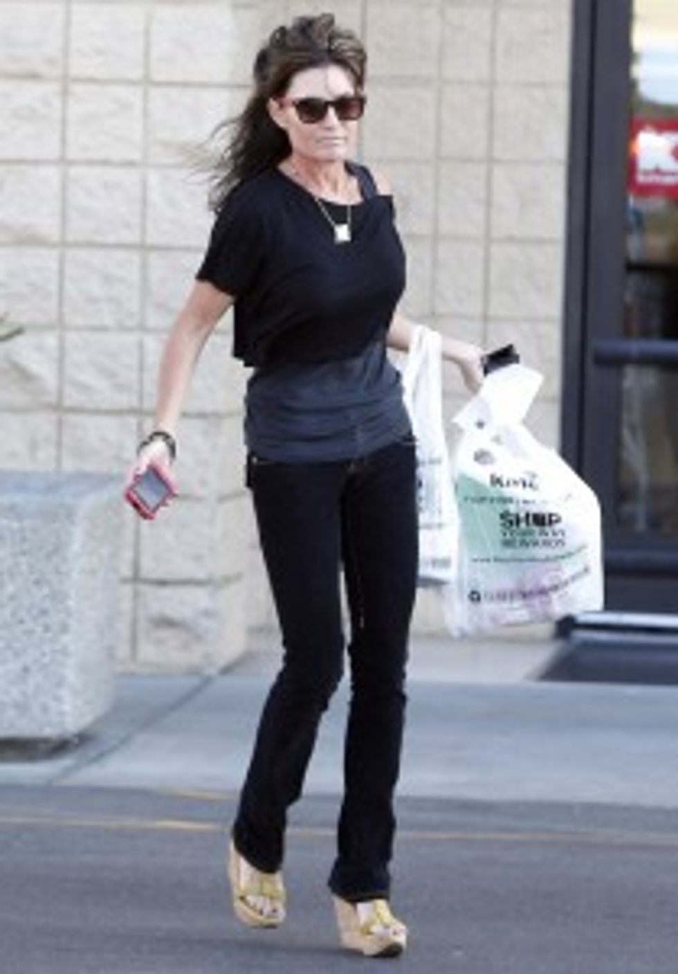 You Guys, Sarah Palin Is Wasting Away!