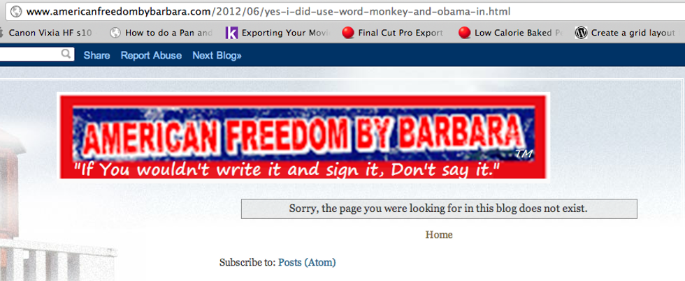 Arizona Talk Radio Gal Who Called Obama 'Monkey' Has Excellent Reason Why She Is Not Racist