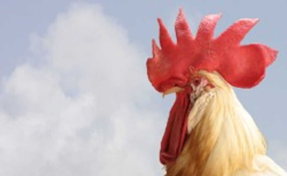 Hero Border Patrol Chick Cold-Cocks Lady For Complaining About Public Knob-Gobbling