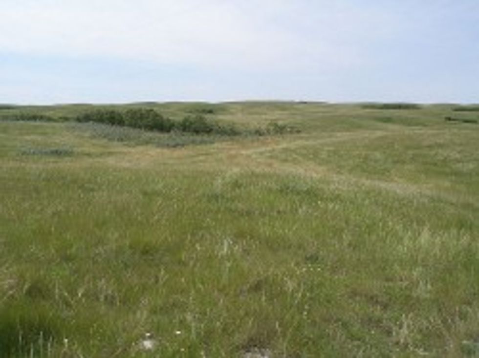 North Dakota Wants To Get Rid Of Property Taxes Because It Is Mostly Grass Anyway