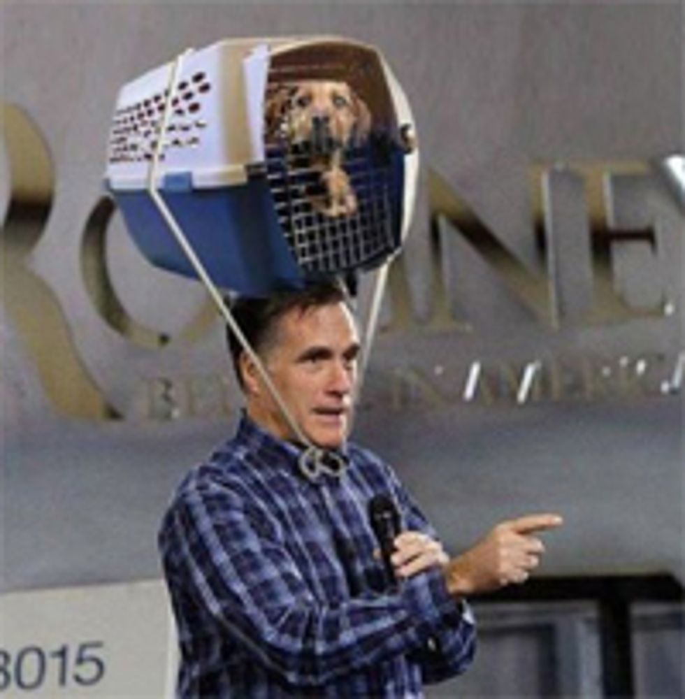 Here Is a Political Blog Post About Dog Diarrhea