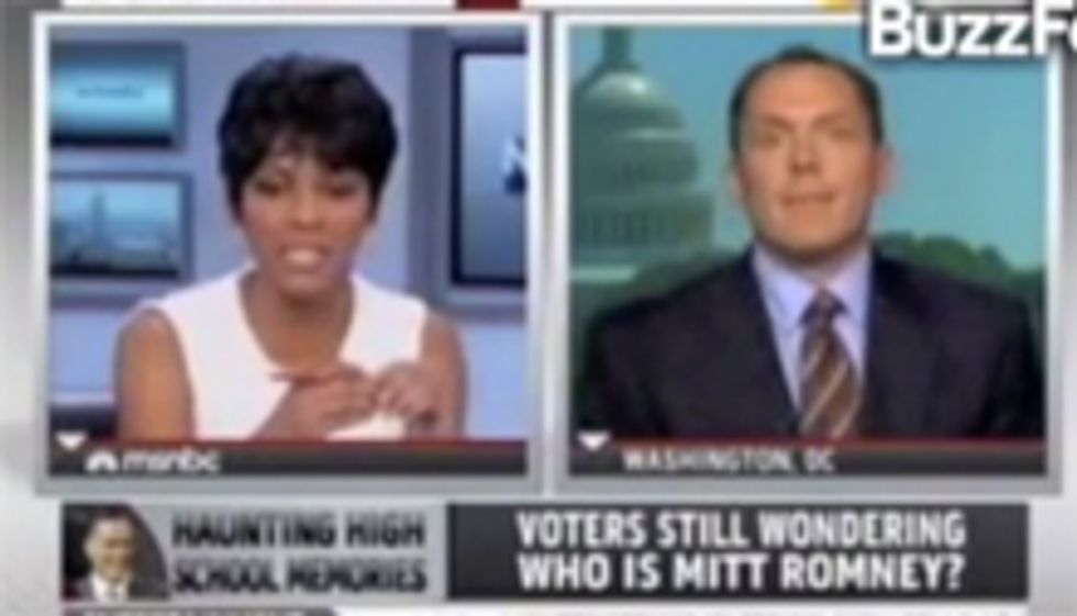 Mean Liberal MSNBC Lady Won't Let Whiner Whine About Metasomethings
