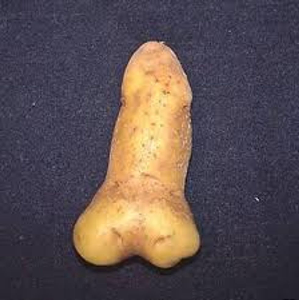 Here Is A Story About Ben Quayle With A Potato That Looks Like A Penis