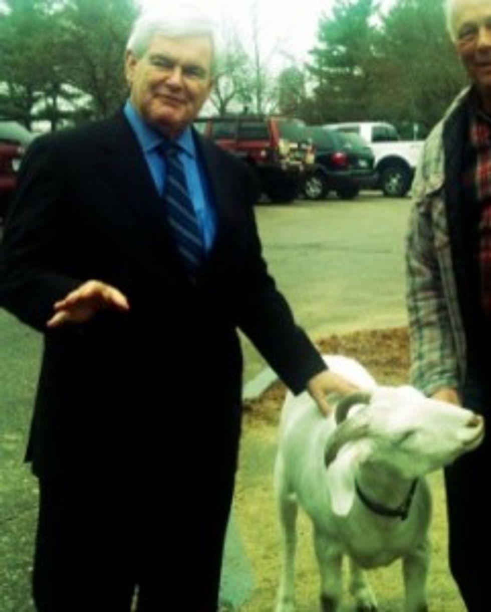 Newt Meant ALL Minorities In Saying Blacks Shouldn't Want Food Stamps