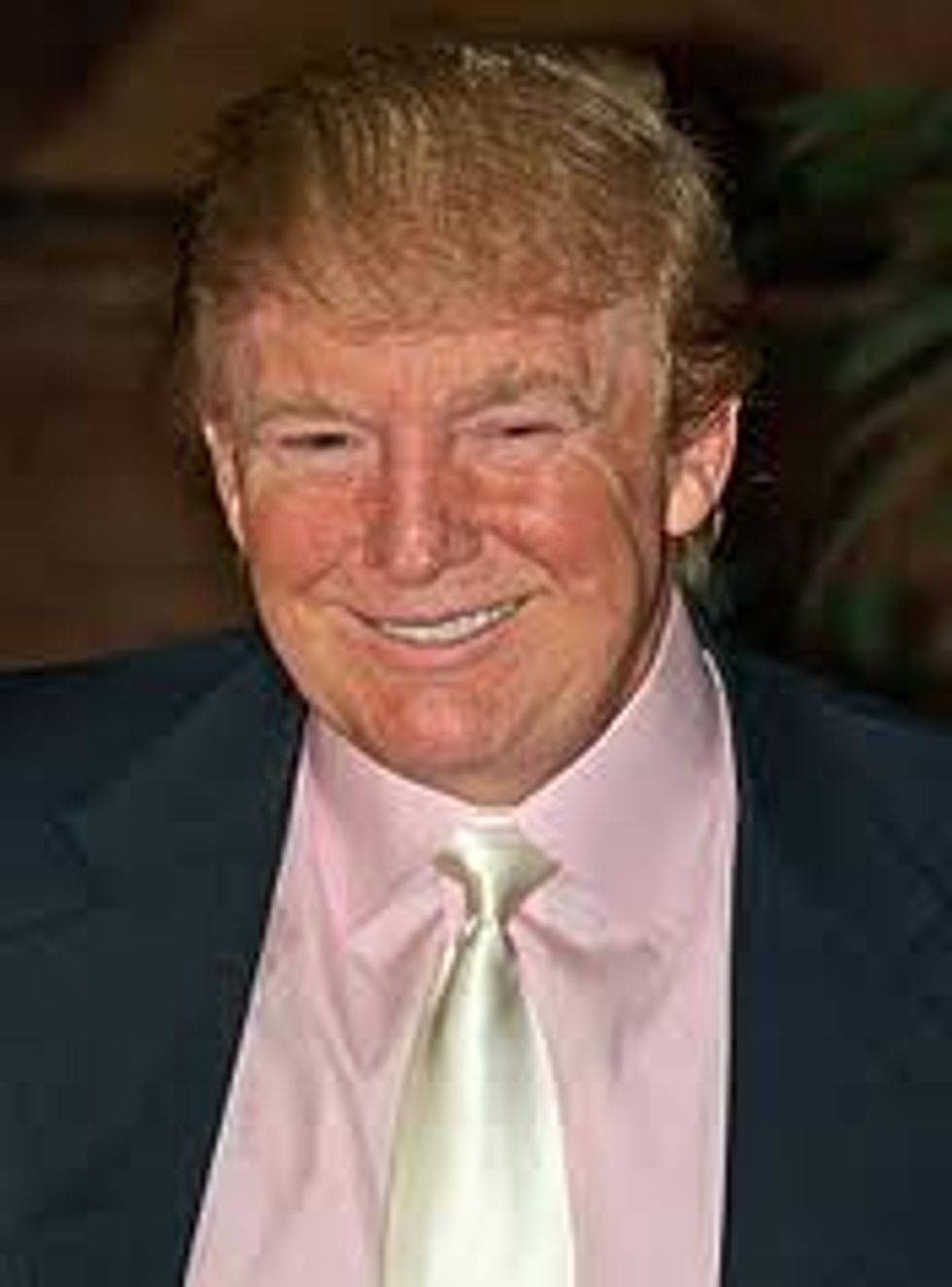 Embarrassing Muppet Donald Trump Calls Windmills 'Horrible, Loud, Disgusting'