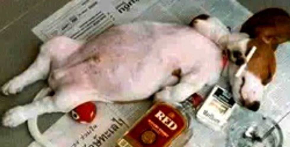 Rick Scott: Welfare Poors All On Drugs! And By All, He Means 2%