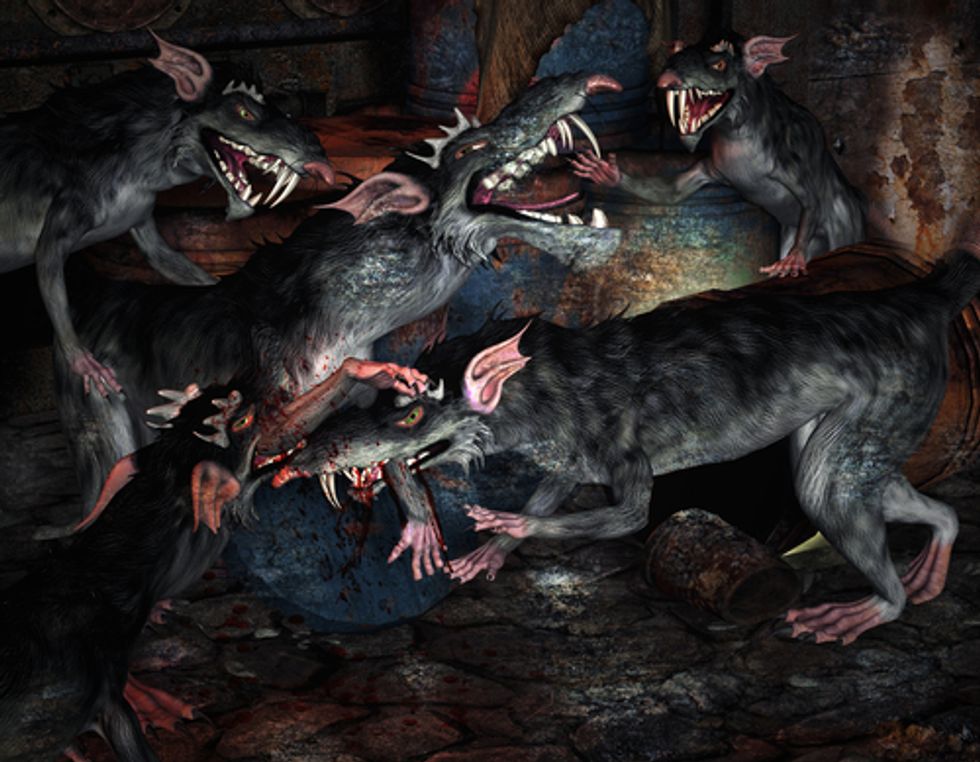Will Florida Choose the Plutocrat Or the Amoral Jewelry-Debt Piglet?