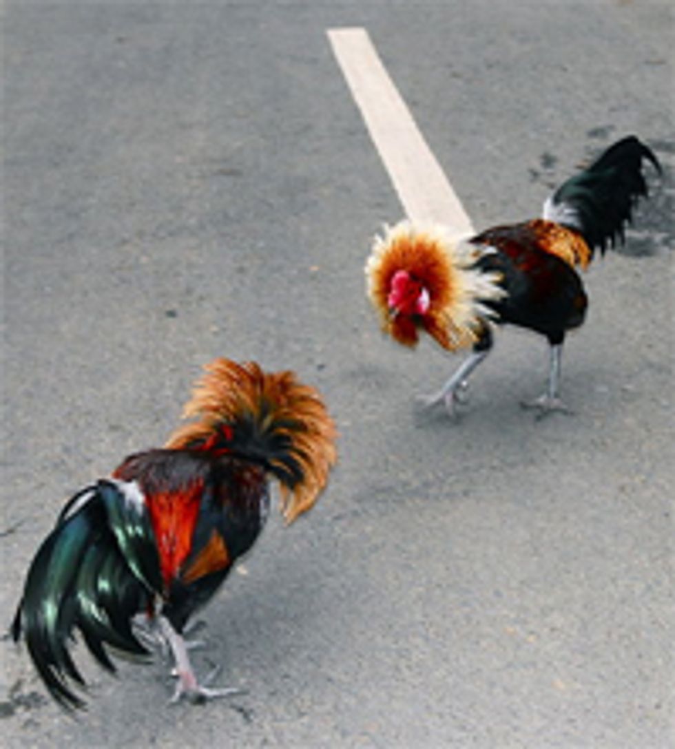 Obama, Cantor Debt Ceiling Talks Now Just Debt Ceiling Screaming