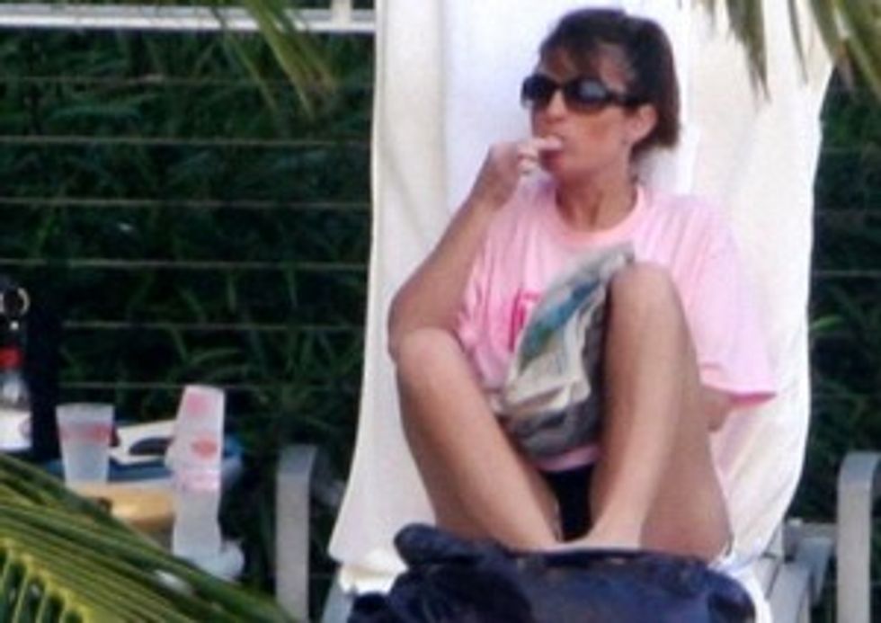 Sarah Palin Was Also Wrong About That Slim Jim Thing