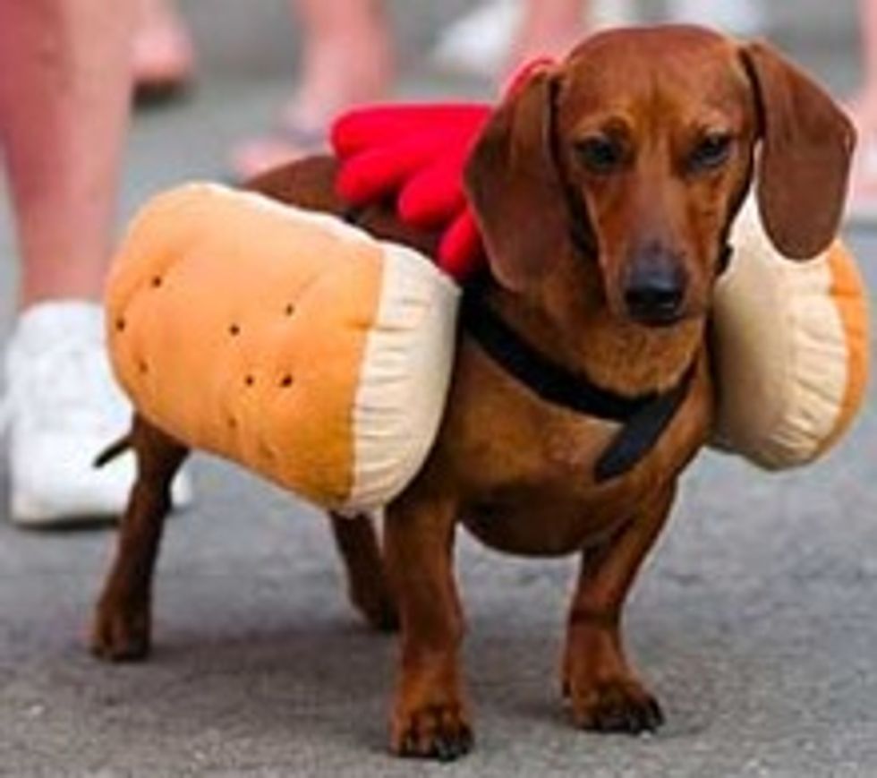 Shocker: Another Weiner Politician In Trouble For Sexy Behavior