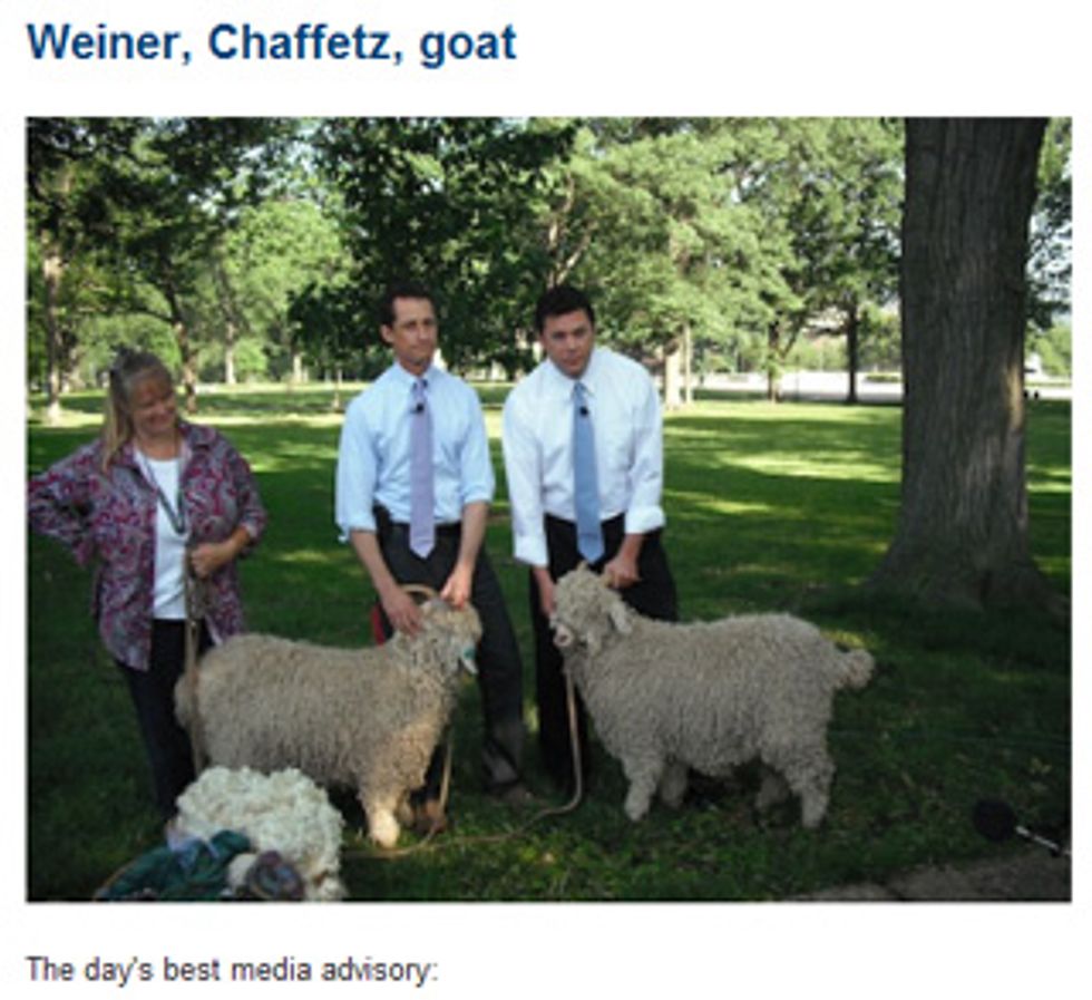 Congressmen Weiner & Chaffetz Blown By Goats
