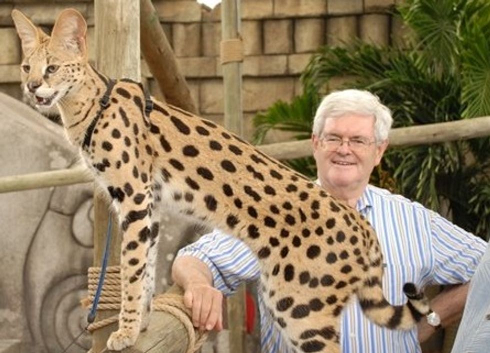 As He Enters Race, Newt Knows All of History Was Leading Up To Him