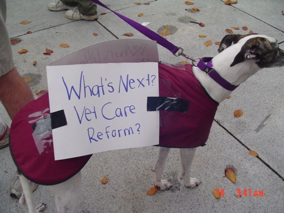Socialist Supreme Court Refuses To Hear Health Care Case