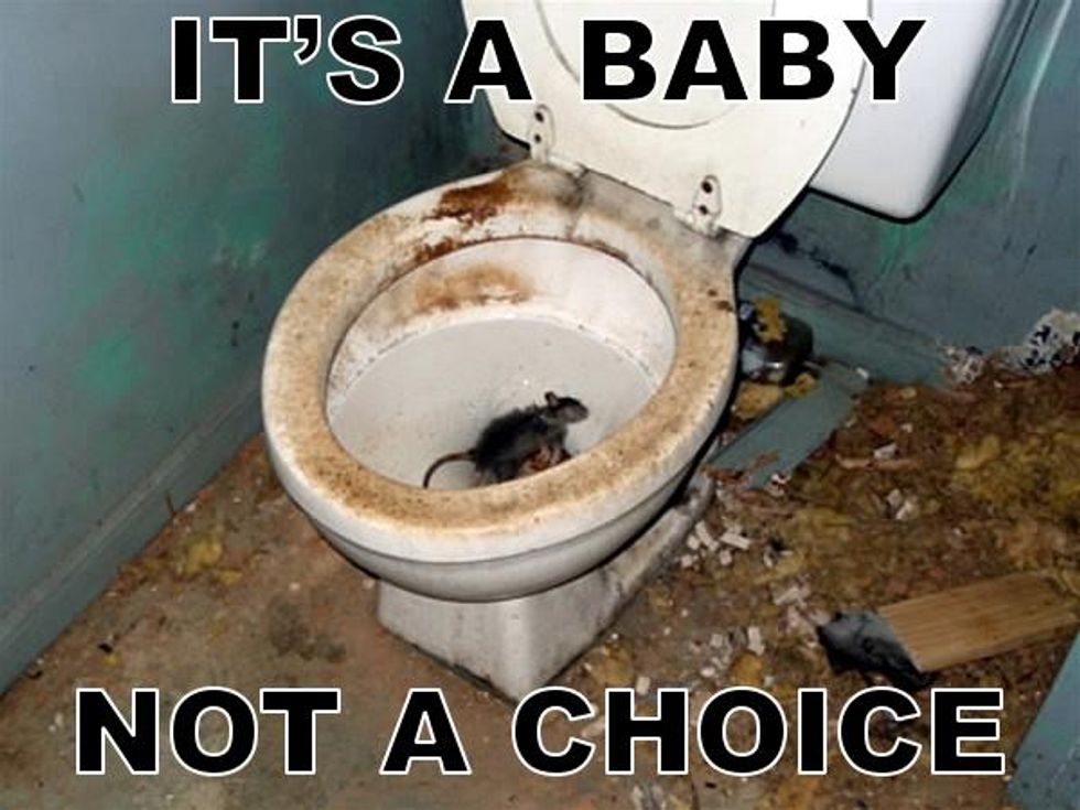 America Loves LOLRATS! (Because Americans Quit Having Babies)