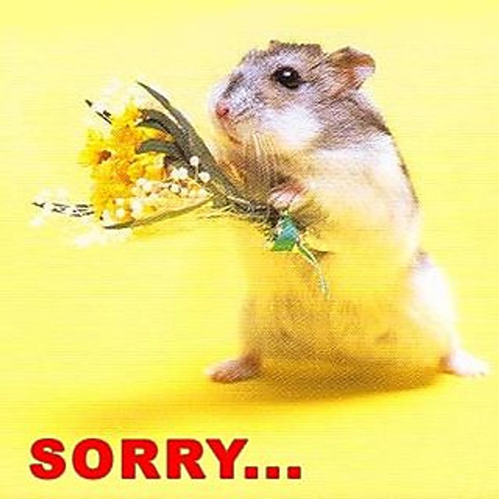Carnivorous Mouse Infestation Probably Next Sign Of Apocalypse