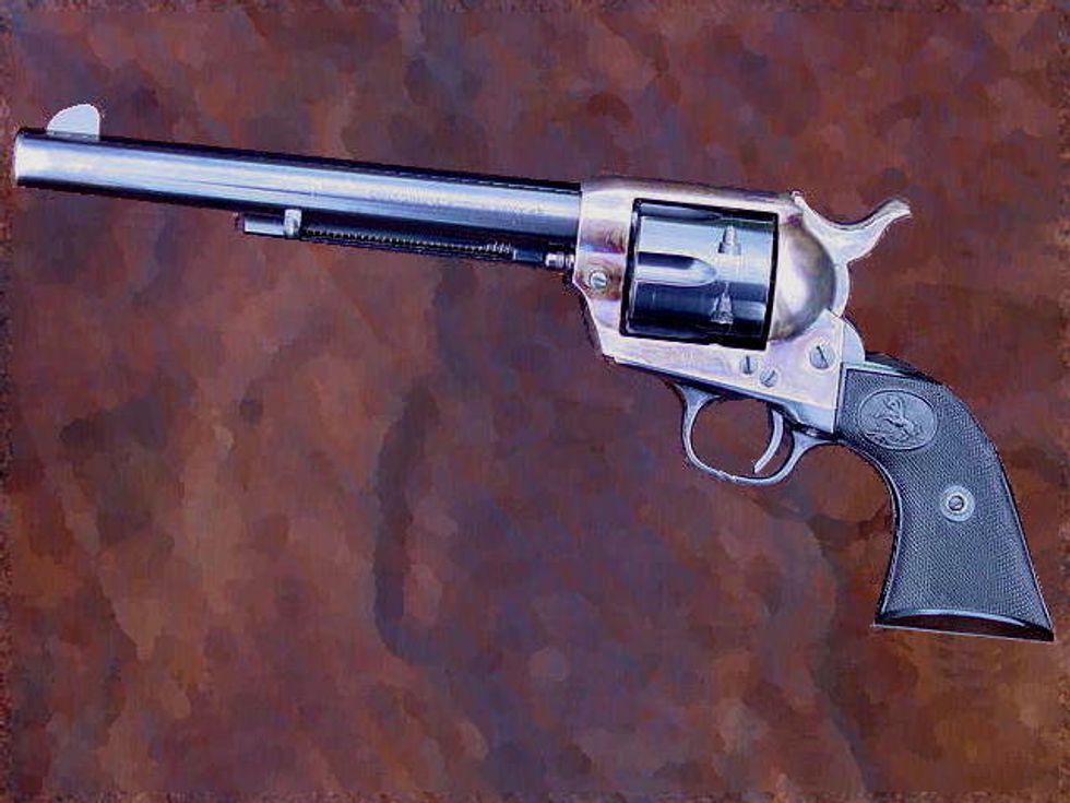 Arizona Fully Recovers From Giffords Shooting, Honoring 'Official State Gun'