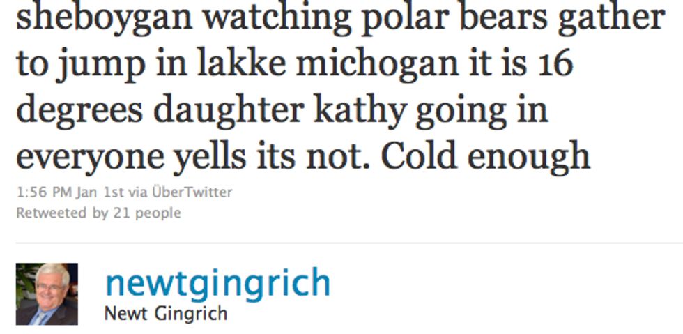 Wasted Newt Gingrich Sees Polar Bears On Shore Of 'Lakke Michogan'
