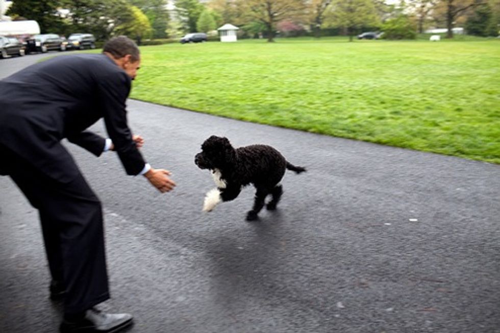 Barry Picks Chicago Political Nepotism Rich Guy At Random For Chief of Staff
