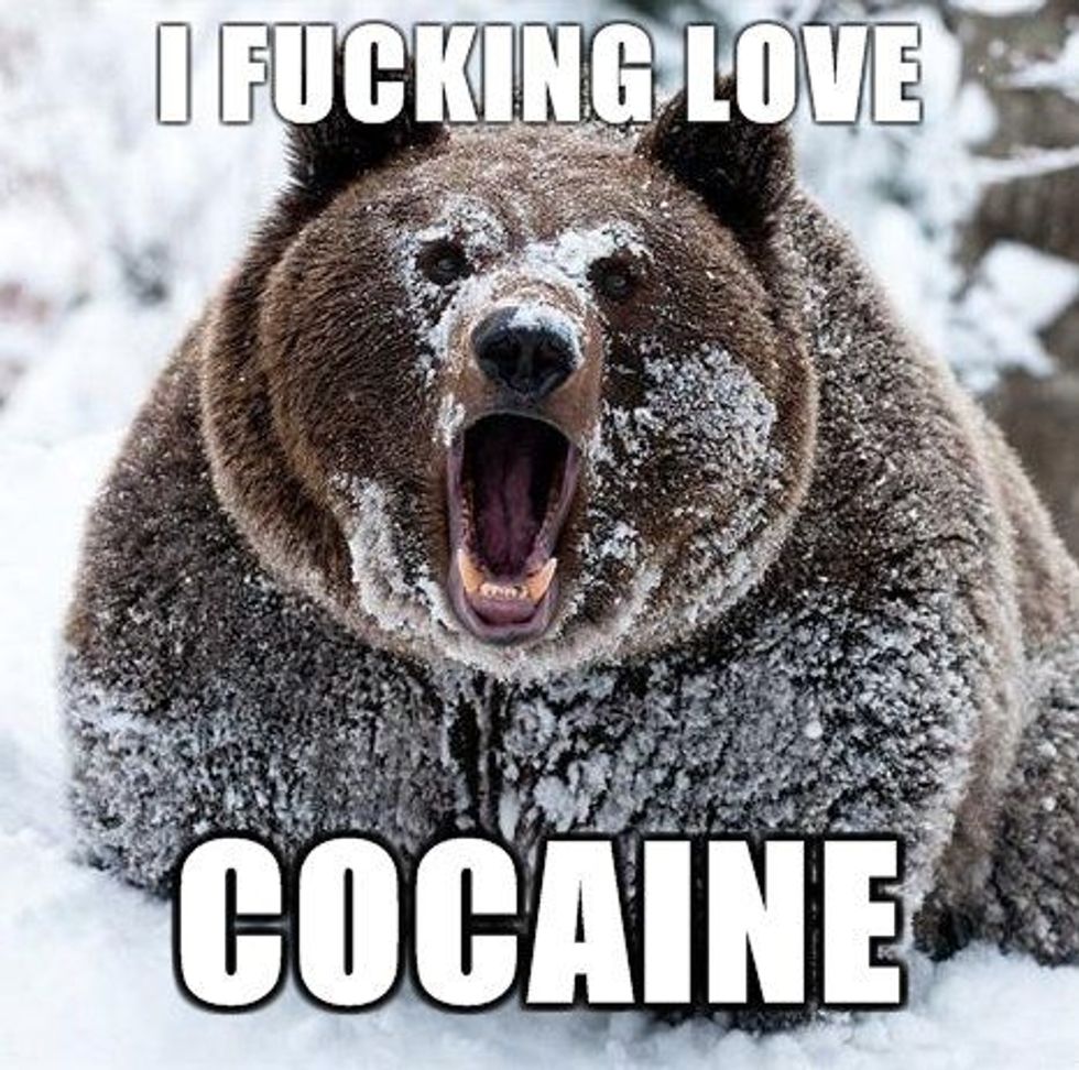 Evil White Substance Invades East Coast But Spares D.C. Cute Panic