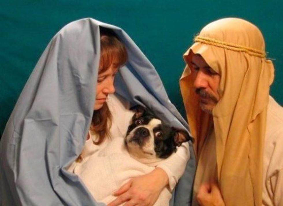 And Now You Can Visit the Virgin Mary In Wisconsin