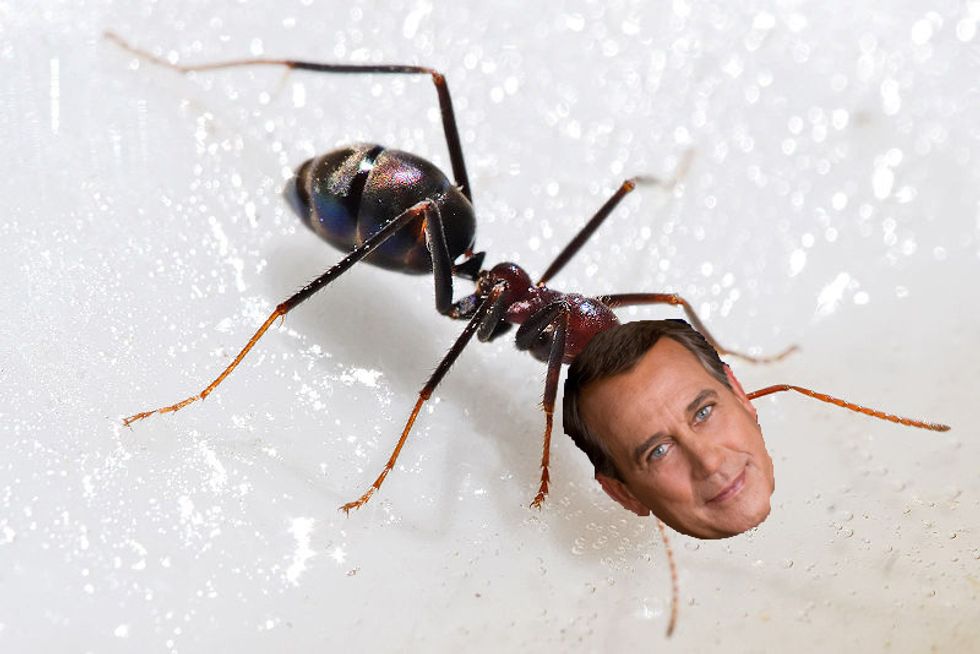 Ant-Loving Democrats Trip Over Themselves Criticizing John Boehner For Financial Reform Comment
