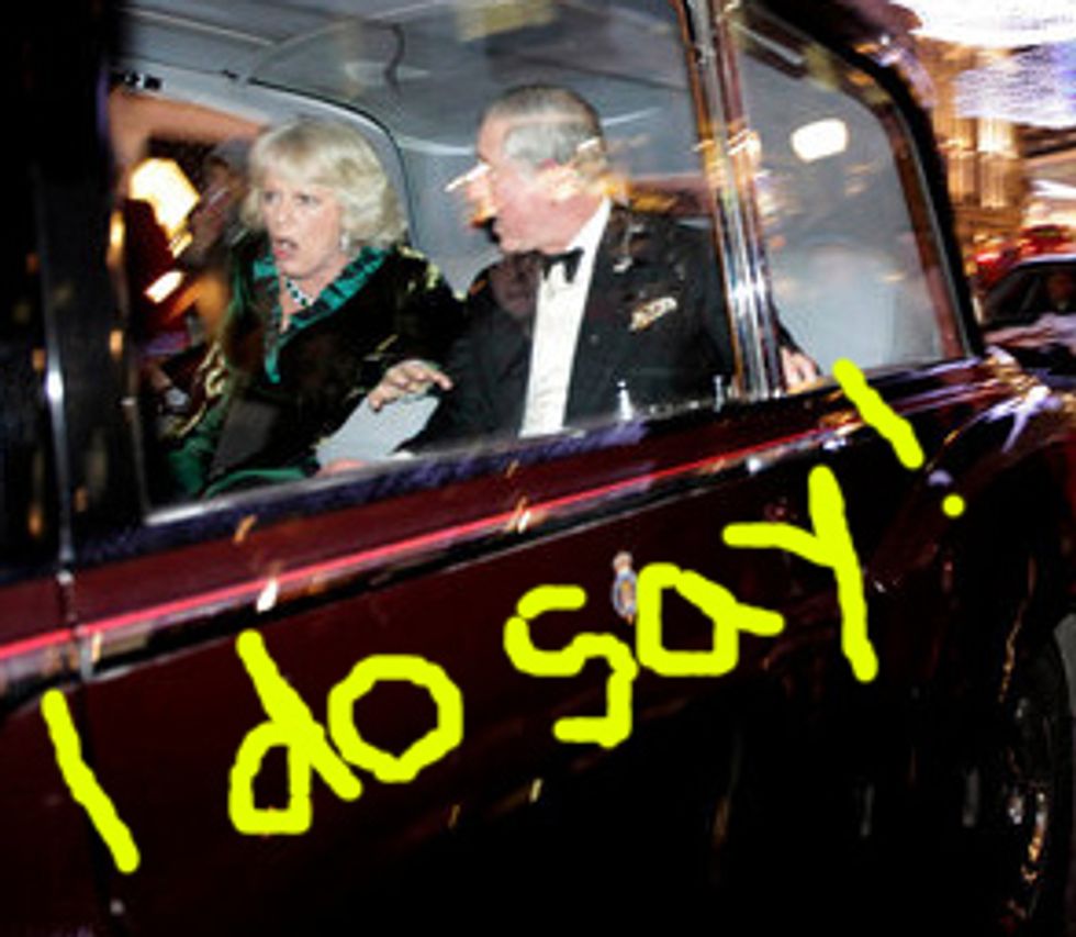 Brits Show Up American Incivility By Trying To Murder Prince Charles' Car
