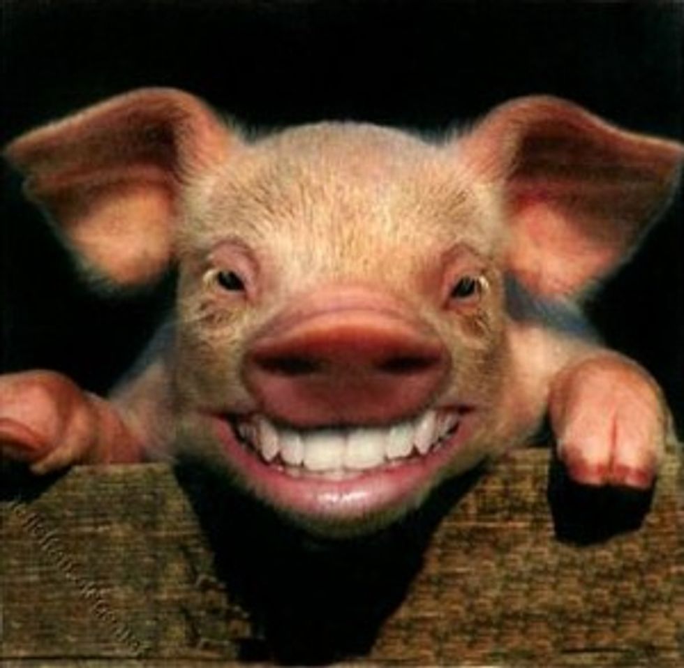 America Wins In Bay of Pigs 2.0