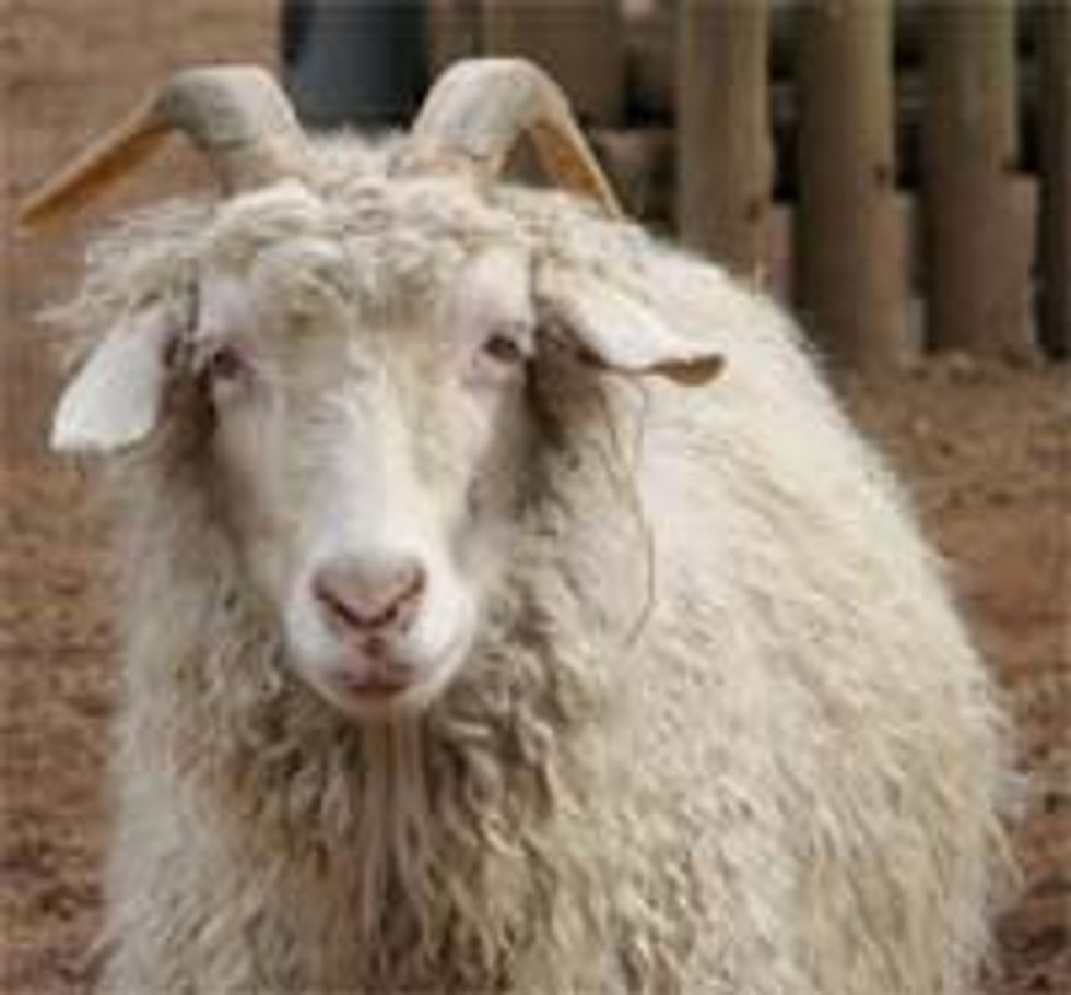 Dick Armey Can't Extract Himself From His Goats