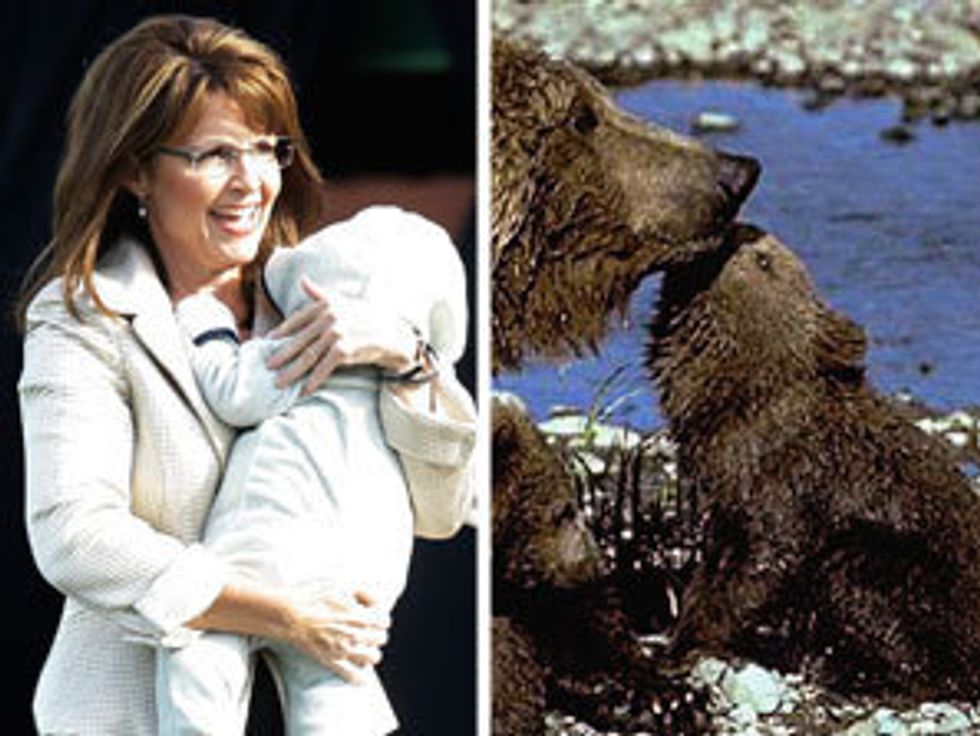 Sarah Palin To Go Camping With Some Kate Woman For Teevee