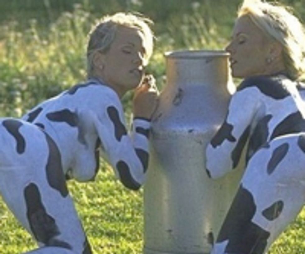 Harvard's Greatest Law School Student To Work For Cow Porn Judge