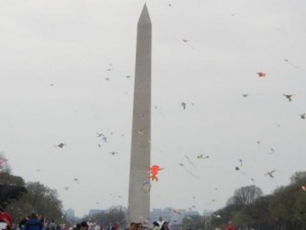 When Life Hands You Cherry Blossoms, Go Fly A Kite