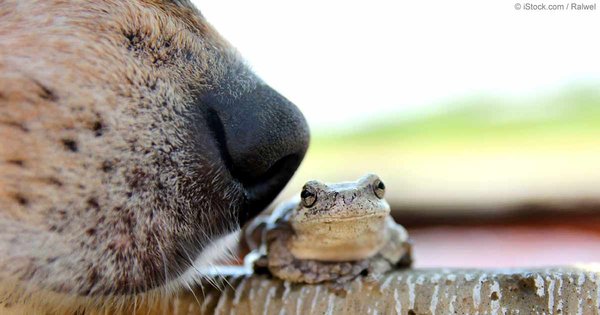 16 Rhyme Without Reason Greek Life Function Ideas