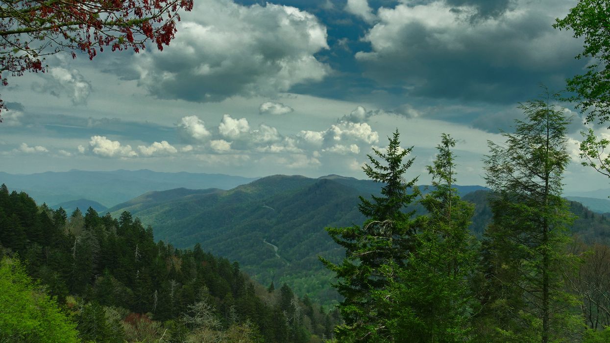 Man with autism sets record hiking in Smoky Mountains