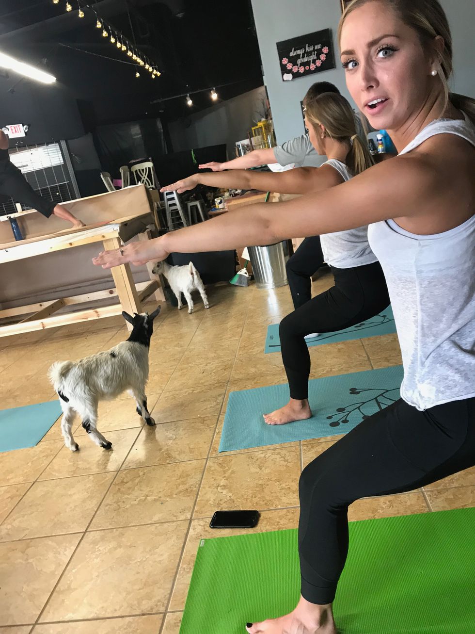 11 G.O.A.T Goat Puns To Caption Your Goat Yoga Instagram Post With