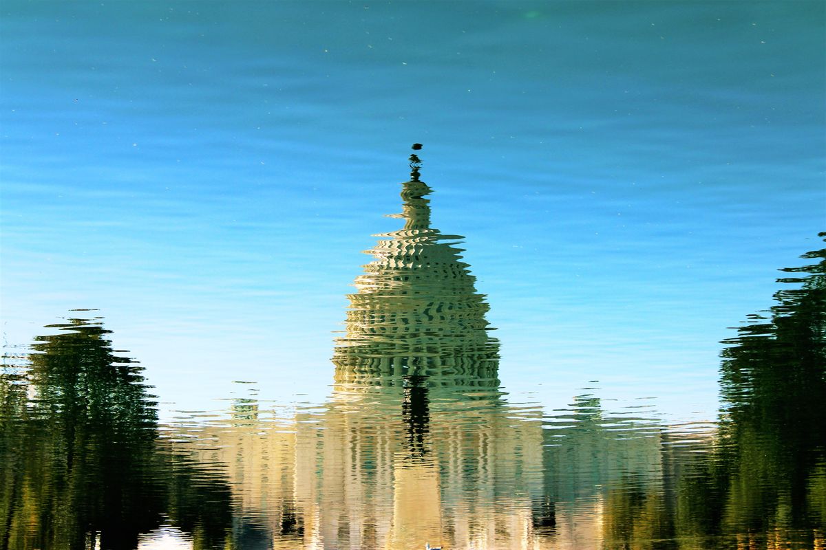 50 Things I Would Rather Do Than Talk About Politics