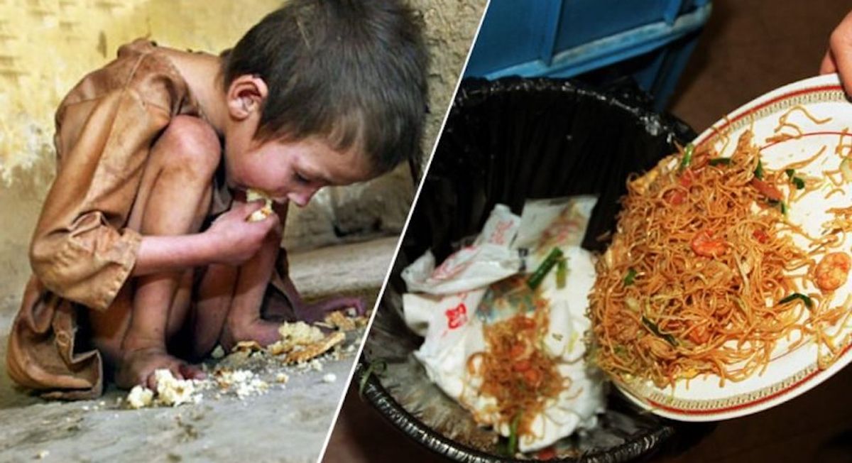 We Need To Stop Wasting Food