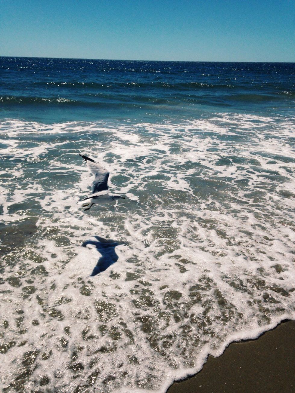 The Top 10 Rhode Island Beaches To Catch Some Sand, Sun And Waves This ...