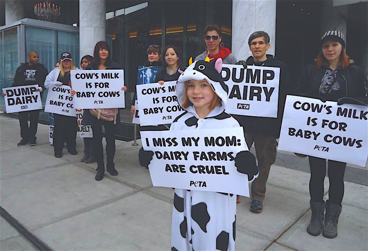10 Things I Wish Animal Rights People Knew About The Livestock Industry