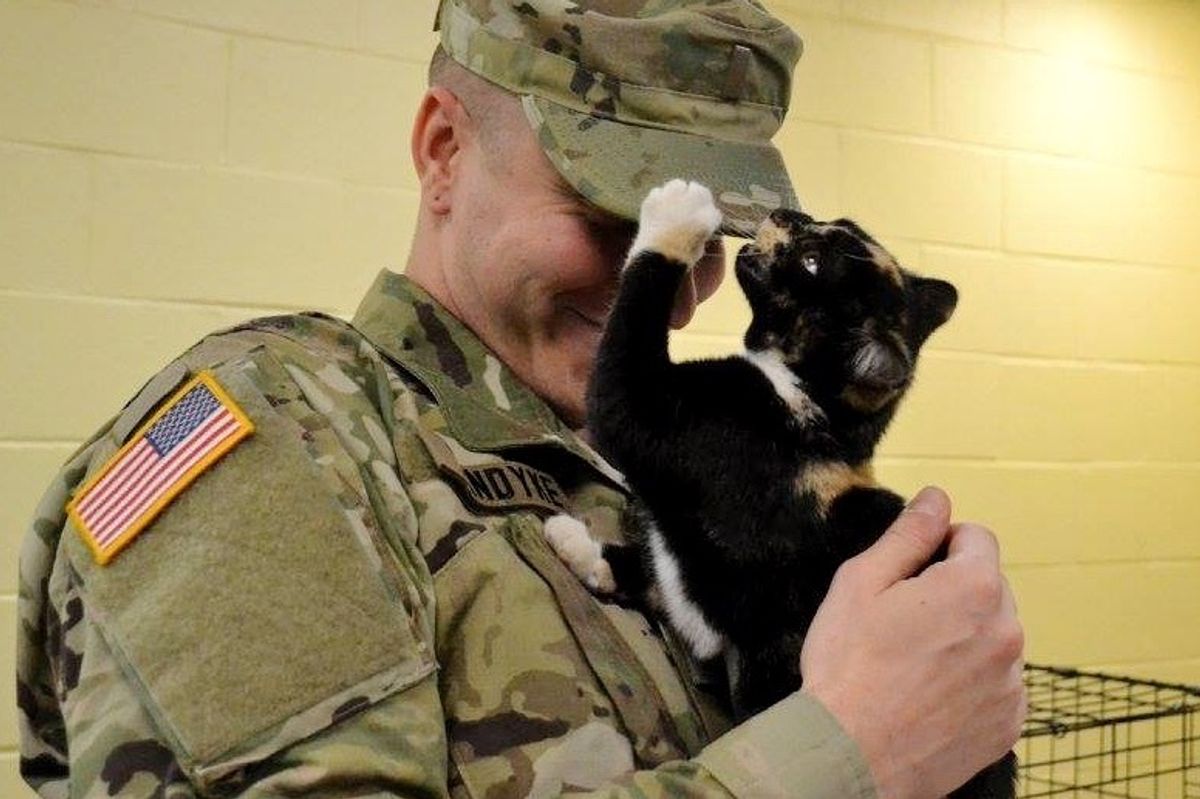 Man Who Was Never Cat Guy, Went to Adopt Dog But Ended Up Getting Chosen by Kitten