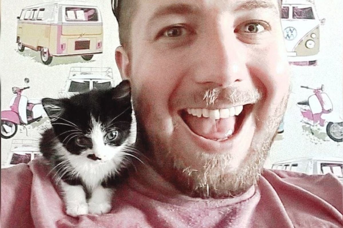 Kitten that No One Expected to Live to See Her First Birthday, Surprises Them All