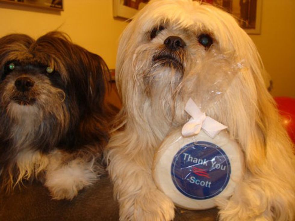 Scott Brown's Last Supporters Hope For Pork Snausages