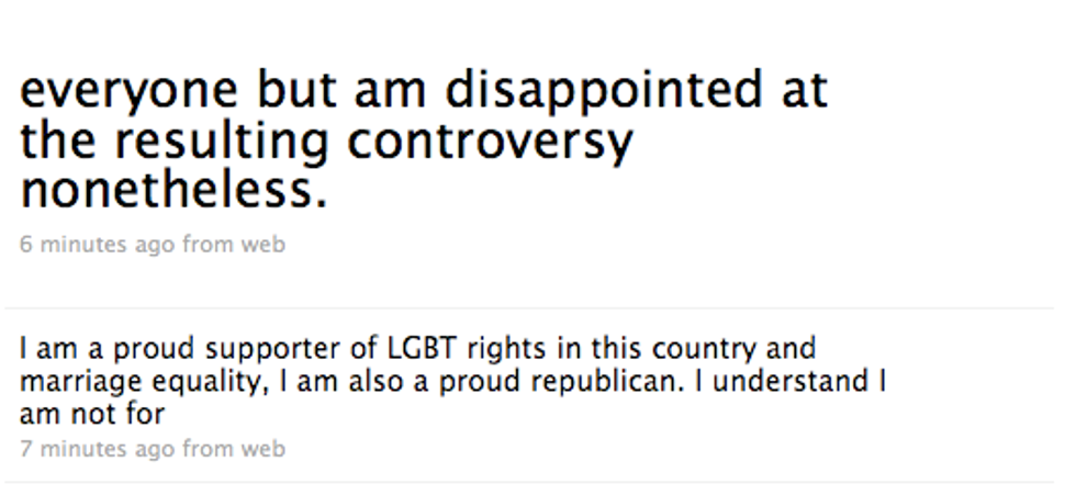 Meghan McCain Is All Sorts Of Disenfranchied, For Being Such A Liberal Nominal Republican!