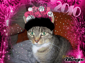 Hope You Did Not Get Blown Up For New Year's, Everybody!