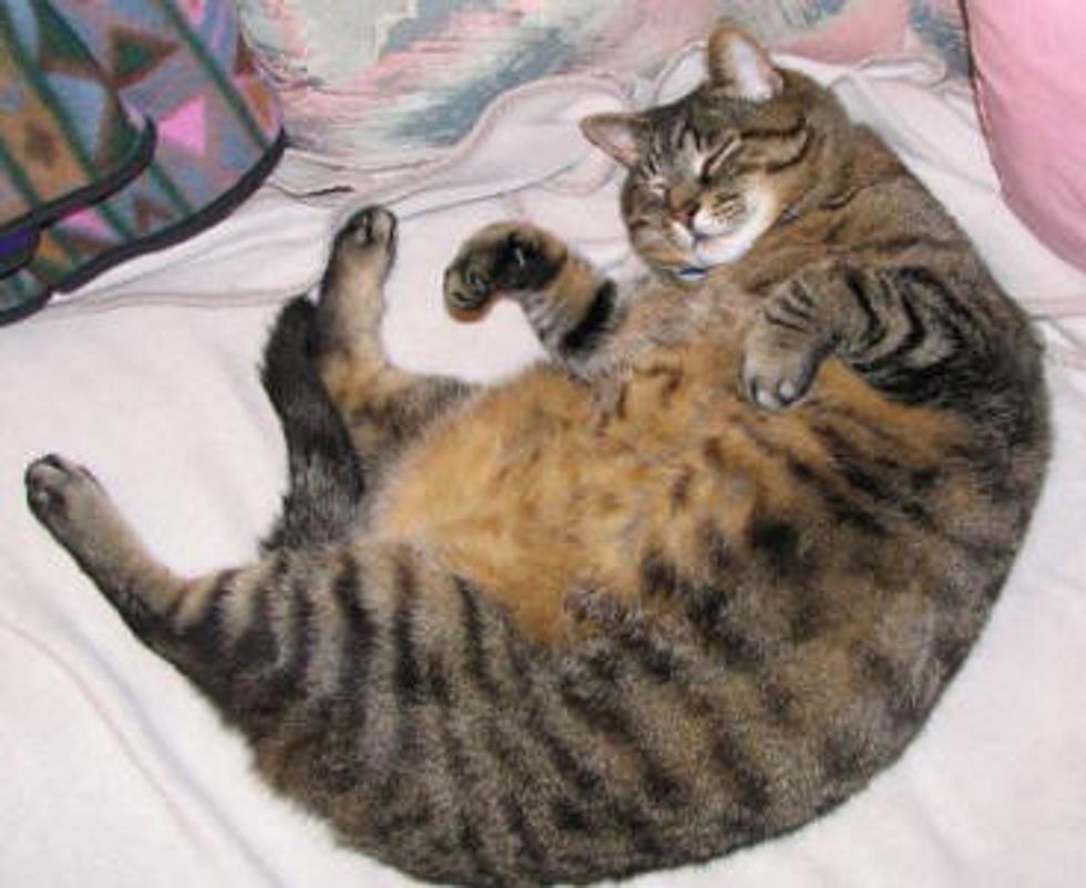 Google Fat Cats Make Millions While Nation Suffers
