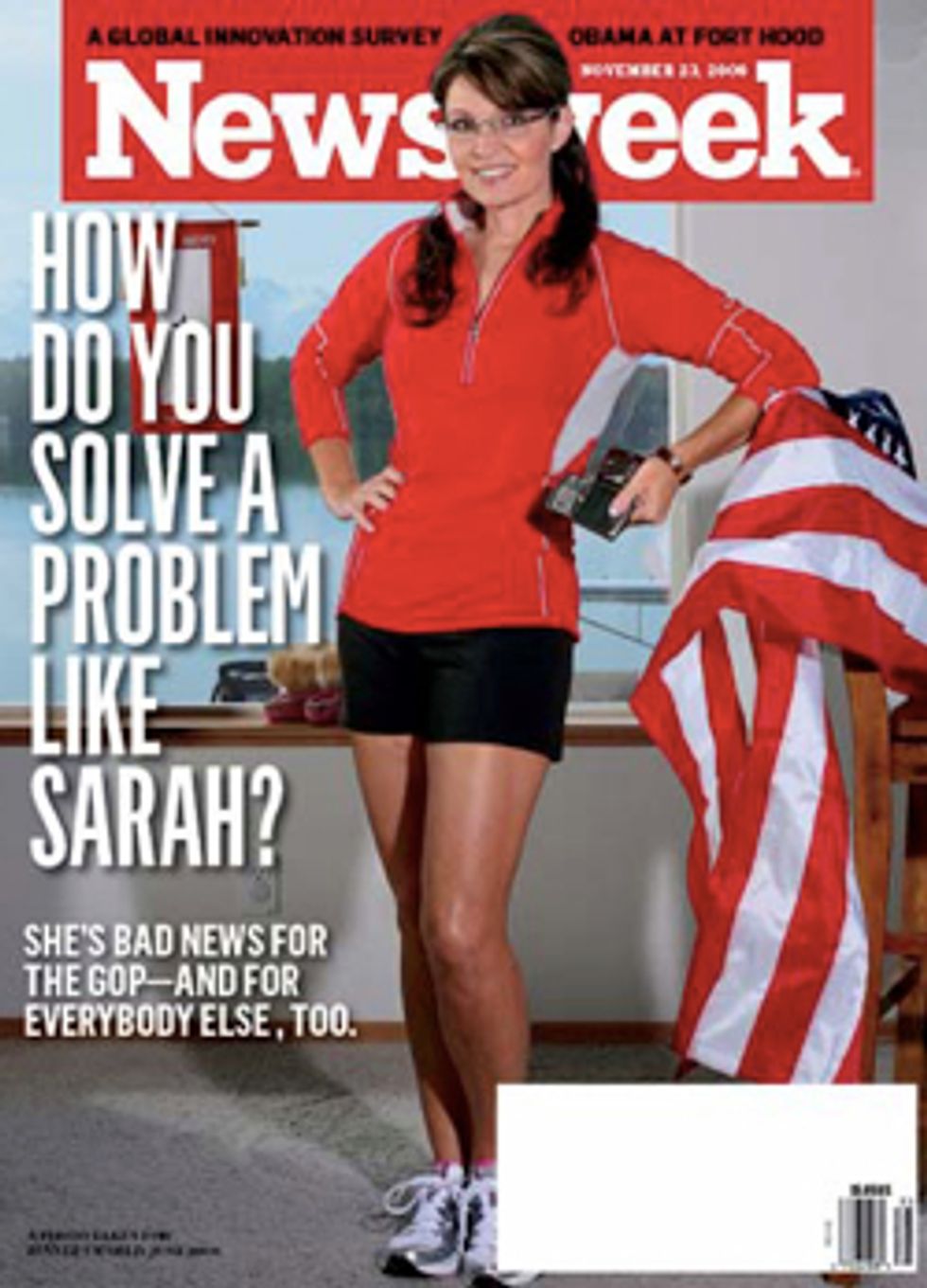 Here Is A Post About Sarah Palin And... What Now... The Newsweek Magazine